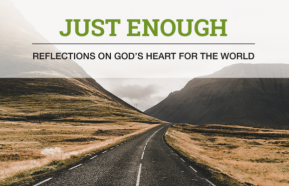 Image for Just Enough: Reflections on God’s Heart for the World