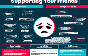 Image for Supporting Your Friends