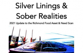 Image for Silver Linings and Sober Realities