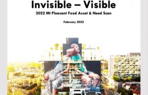 Image for Invisible-Visible