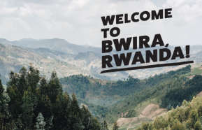 Image for Welcome to Bwira, Rwanda!