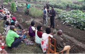 Image for The Story of Kageyo, Rwanda – A Refugee Community Rescued from Food Crisis