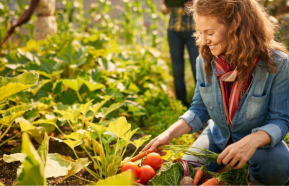 Image for Get Free ($199 value) Access to Thrive’s Online Gardening Academy Now!