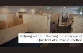 Image for Helping without Hurting in the Sleeping Quarters of a Rescue Shelter