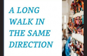Image for A Long Walk in the Same Direction