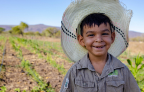 Image for Fruitless to flourishing: How family gardens are transforming Nicaraguan communities
